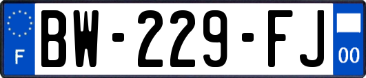 BW-229-FJ