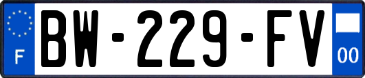 BW-229-FV