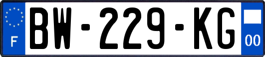 BW-229-KG