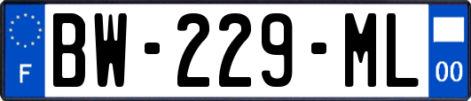 BW-229-ML