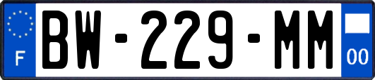 BW-229-MM