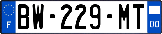 BW-229-MT