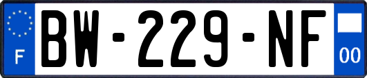 BW-229-NF