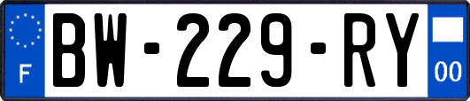 BW-229-RY