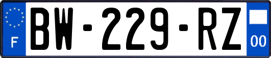 BW-229-RZ