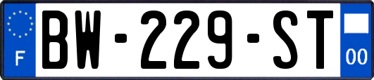 BW-229-ST
