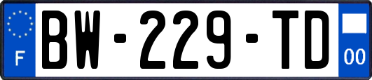 BW-229-TD