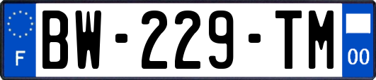 BW-229-TM