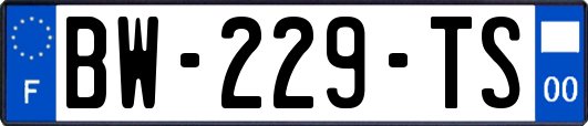 BW-229-TS