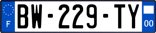 BW-229-TY