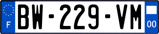 BW-229-VM