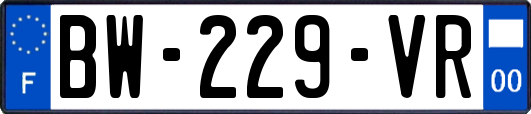 BW-229-VR