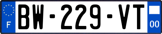 BW-229-VT
