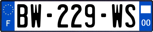 BW-229-WS