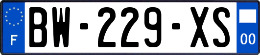 BW-229-XS