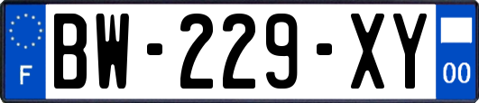 BW-229-XY