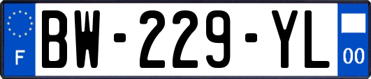 BW-229-YL