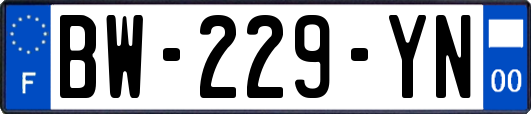 BW-229-YN