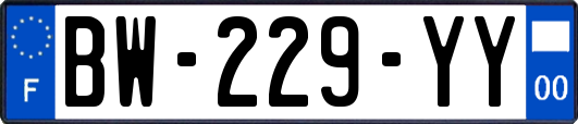 BW-229-YY