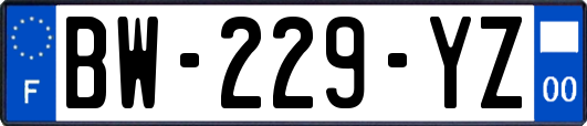 BW-229-YZ
