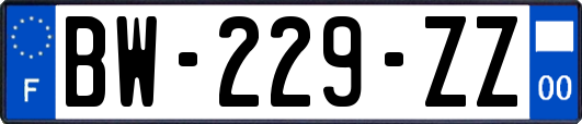 BW-229-ZZ