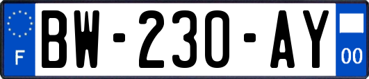 BW-230-AY