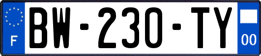 BW-230-TY