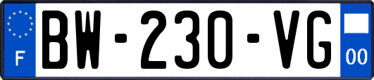 BW-230-VG