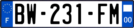 BW-231-FM