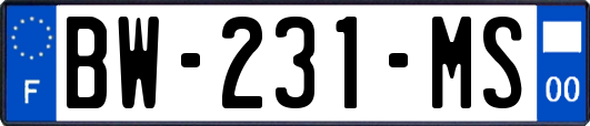 BW-231-MS