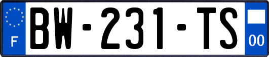 BW-231-TS