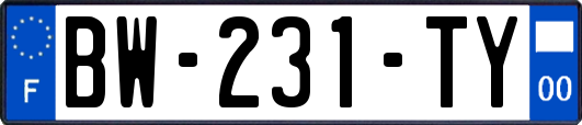 BW-231-TY
