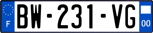 BW-231-VG