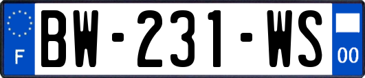 BW-231-WS