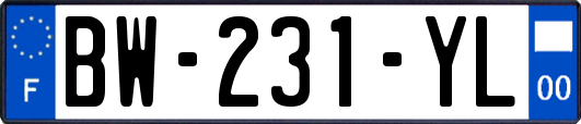 BW-231-YL