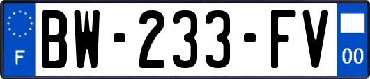 BW-233-FV