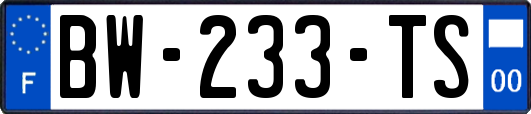 BW-233-TS