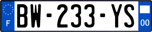 BW-233-YS