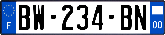 BW-234-BN