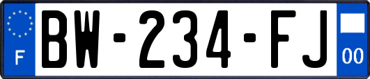 BW-234-FJ