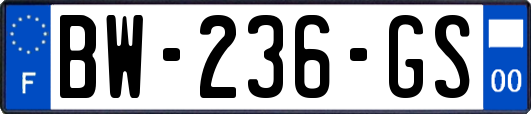 BW-236-GS