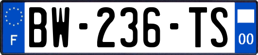 BW-236-TS