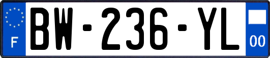 BW-236-YL