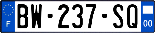 BW-237-SQ
