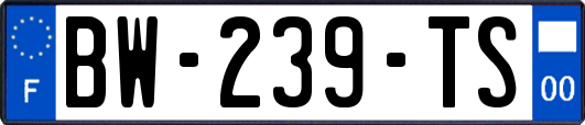 BW-239-TS