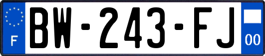 BW-243-FJ