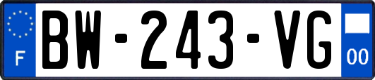 BW-243-VG