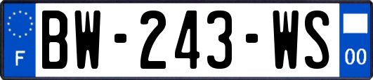 BW-243-WS