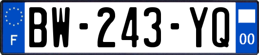 BW-243-YQ