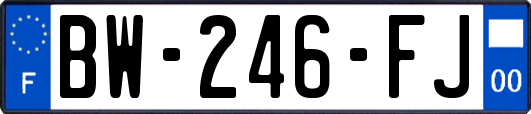 BW-246-FJ